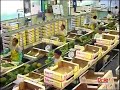 DOLE Ananas Verpackung