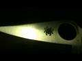 videos de Canon FS100 camcorder test- Spyderco Delica 4