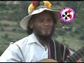 waylla ichu de huancapi - pum pin  fajardino - ayacucho