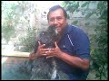 waly