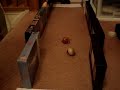 hermit crab races hermit crab races