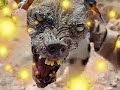 US SOLDIER THROWS PUPPY OFF CLIFF (THE TRUTH) US SOLDIER THROWS PUPPY OFF CLIFF (THE TRUTH)