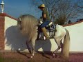 Bailador Bailador