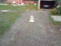 videos de legeni me kusi tu fluturue