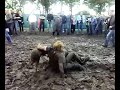 mudfight @ waldrock 2007