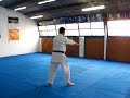 Uechi Ryu - Kanshiwa - Kata Uechi Ryu - Kanshiwa - Kata