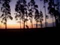 Calhamblack - Backstage, Viagens, Hoteis e Estrada...