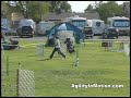 Haute Dawgs USDAA Trial -- Steeplechase