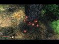Elder Scrolls IV Oblivion Chapter 2 E3 Demo Video Elder Scrolls IV Oblivion Chapter 2 E3 Demo Video