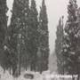 Another California blizzard update! Sierra Nevada Mountains