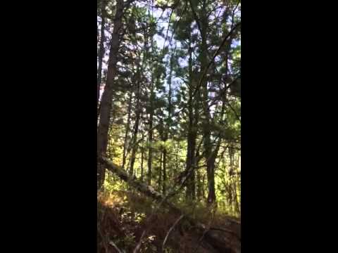 See video