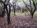 Extreme Grouse Hunting