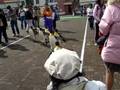 Noboribetsu Marine Park -penguin parade -4