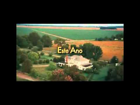 Imagem de Amostra do You Tube