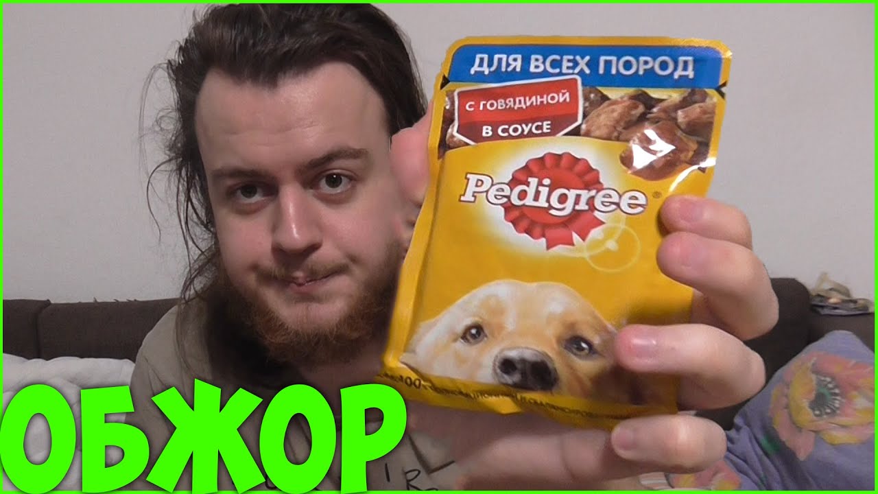 ОБЖОР: Pedigree Влажный Корм С Говядиной