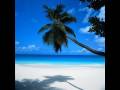 Relaxing Music - Really Nice! - YouTube