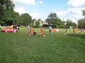 Zawody agility Wrocław ELI