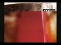 Nine Inch Nails, Where Is Everybody