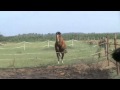 Bart springt juli 2010