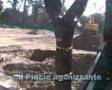 Roma Occulta I MUNICIPIO IL PINCIO SPECULAZIONE EDILIZIA