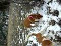 winter_08 200.mov