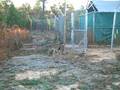 videos de PAWS Inc Release of 6 new deer