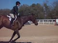 nieko baby green trip over fences
