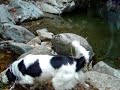 el gorg negre  episodi i 