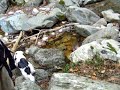 el gorg negre  episodi i 