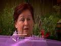 Real Insurance Real Bonus Testimonial Illona version 1 Real Insurance Real Bonus Testimonial Illona version 1