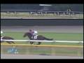 videos de [レースリプレイ] 081115 5東京3 04R