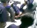 videos de POSTRE IVER#1