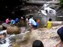 Holiday Holiday