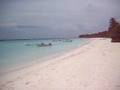 Isla Saona