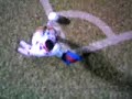 Gol Pro evolution soccer 6 Gol Pro evolution soccer 6