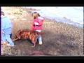 videos de 1988 Nyack to Memphis- teeth, walking.wmv