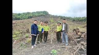 Thành phố Uông Bí - Nỗ lực triển khai kế hoạch trồng rừng bằng cây bản địa