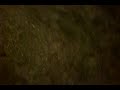 Taylor Young is a BAMF- the rake game