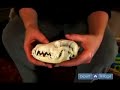How to Clean Dog Teeth : Tips on Dog Tooth Care How to Clean Dog Teeth : Tips on Dog Tooth Care
