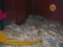 chota lluvias y granizada
