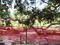 USM Gulf Coast Campus - One Year After Katrina