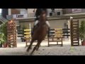 Equi Champ' 2009