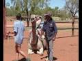 videos de Amy Rides a Camel
