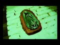 idiota - Blind Pigs
