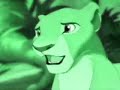 SPIRIT & LION KING -SHE\