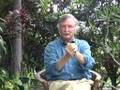 Natural Arthritis Relief