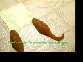 Blemish and Pittance: The New Place (a mouse story)