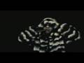 videos de Franco 'El Gorilla' - Welcome To My Jungle (Presentacion).