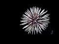 Fireworks @ Corby Boating Lake... Bonfire Night 2009.