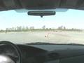 Focus-Autocross-Owna